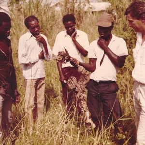Killing fields of Uganda, 1986